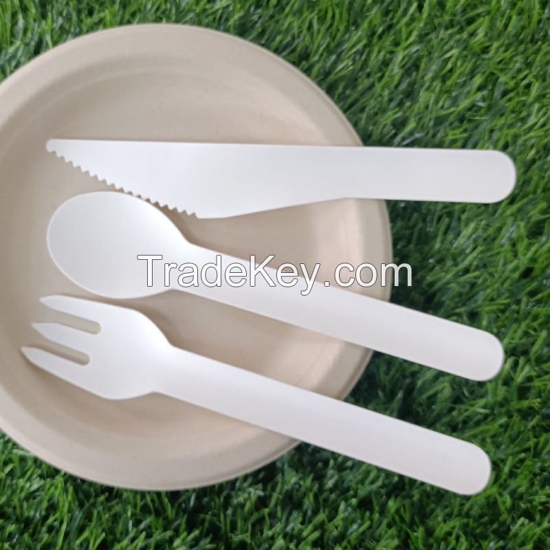 Paper Pulp Biodegradable Disposable Eco Friendly Bamboo Spoons