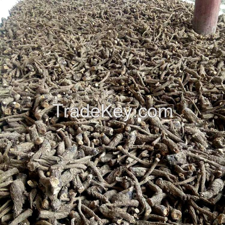 kushta Kashmir Himalaya indian costus root Granules and powders can be customized 