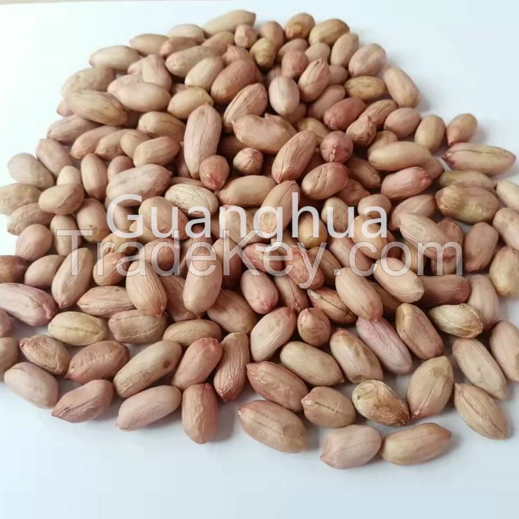 2021 New Crop Jumbo Peanut Kernels China Origin