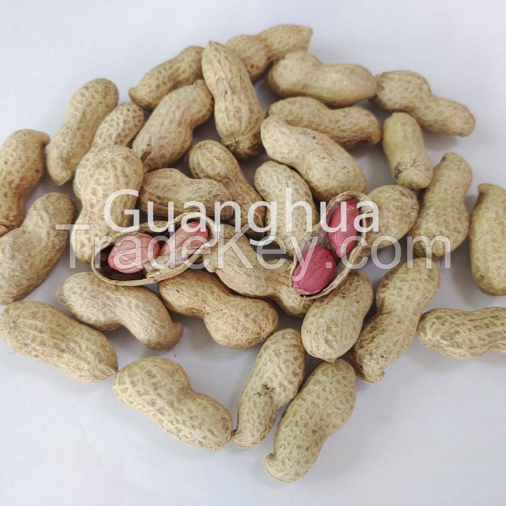 2021 New Crop Jumbo Peanut Kernels China Origin