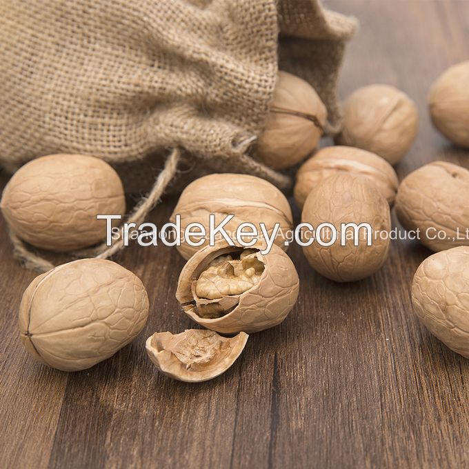 New Crop 2021 Washed Walnut 185 With Best Quality