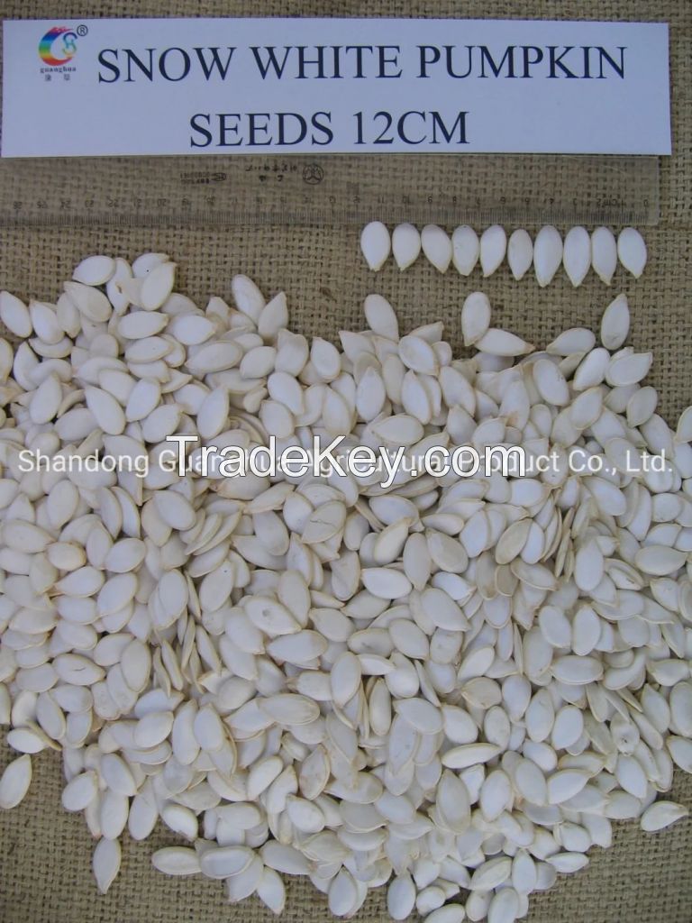 New Crop Pumpkin Seeds White Skin Pumpkin Seeds