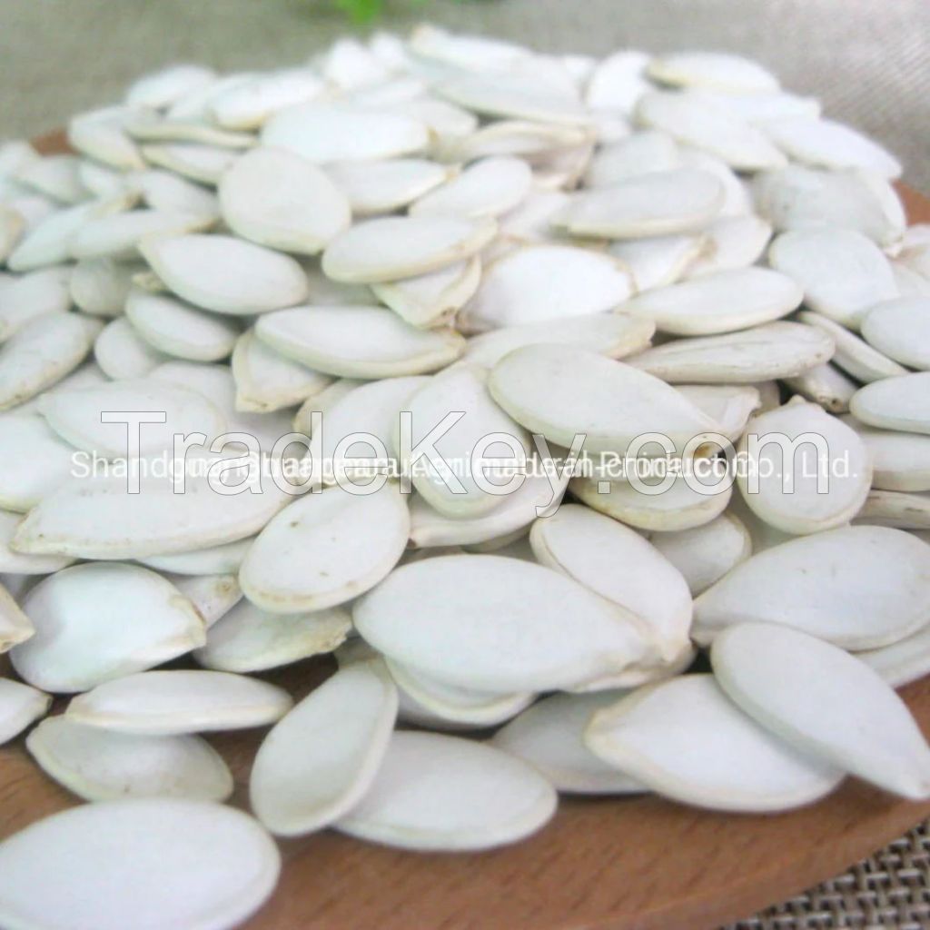 New Crop Pumpkin Seeds White Skin Pumpkin Seeds