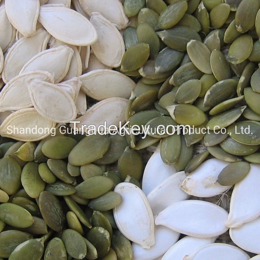 New Crop Pumpkin Seeds White Skin Pumpkin Seeds