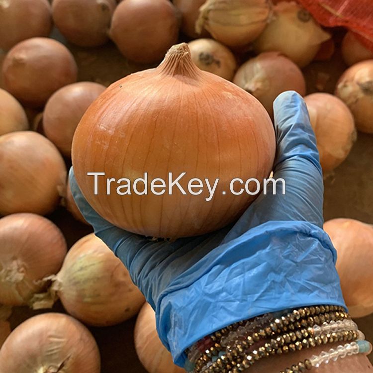 Fresh Onions China Origin 20kg Mesh Bag Fresh Yellow Onion Red Onion For Export