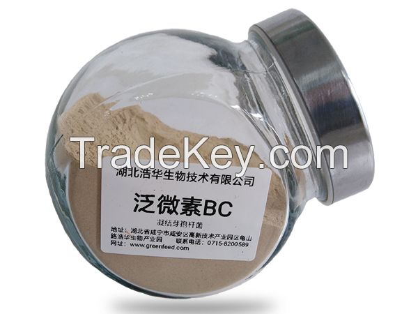 Bacillus Coagulans Animal Feed Additive for Poultry Swine and Aquaculture