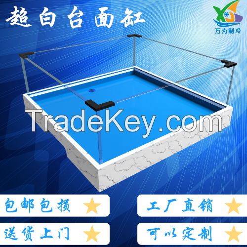 Single-Layer Ultra-White Glass Fish Tank  Bare Tank Customized