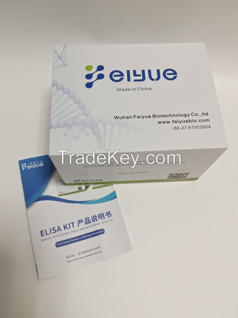 Bovine IL-8(Interleukin 8) ELISA Kit