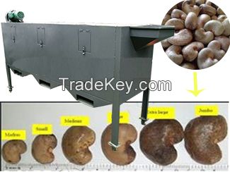 cashew grading machine