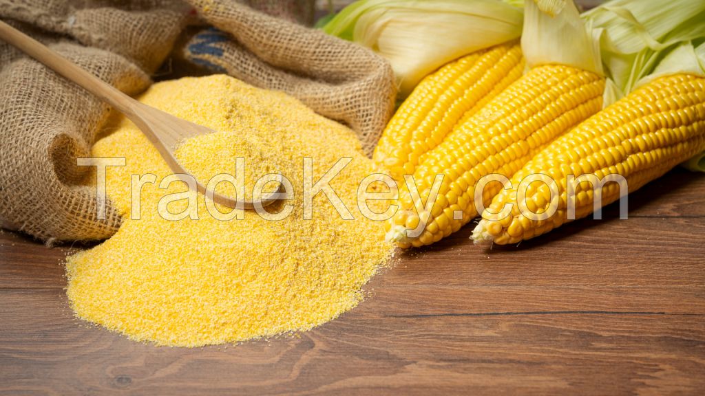 Cornmeal