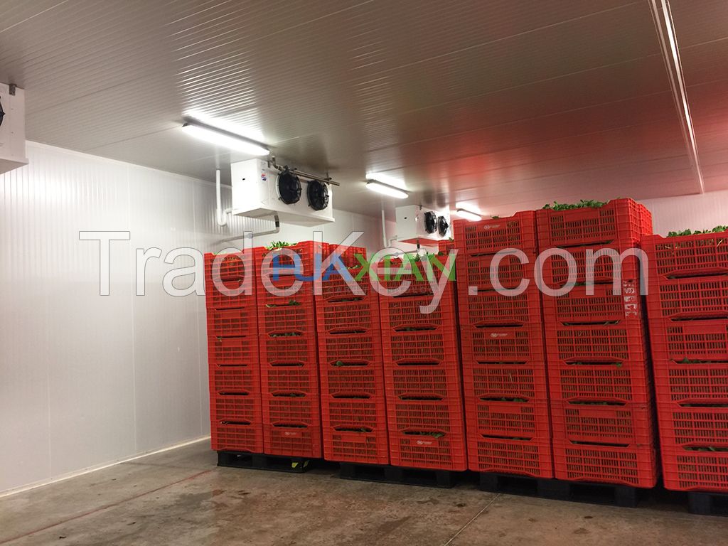 Cold Storage Room for Vegetable, Fruit, Meat, Fish, Poultry