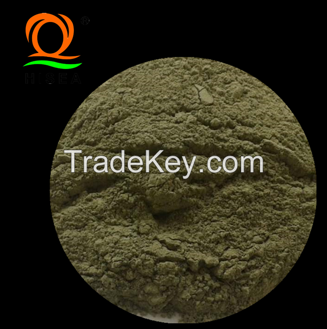 Seaweed Meal Powder Abalone Feed Ulva Powder