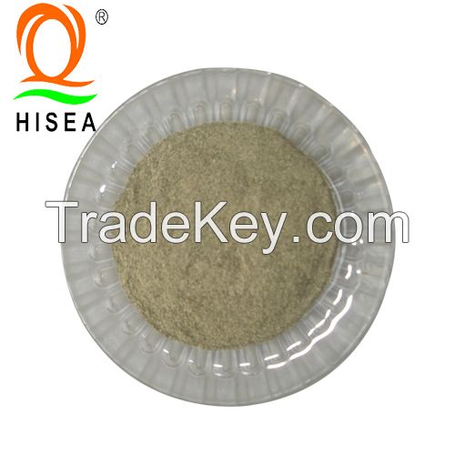 100% Natural Kelp Powder for Shrimp Feed Fish Feed