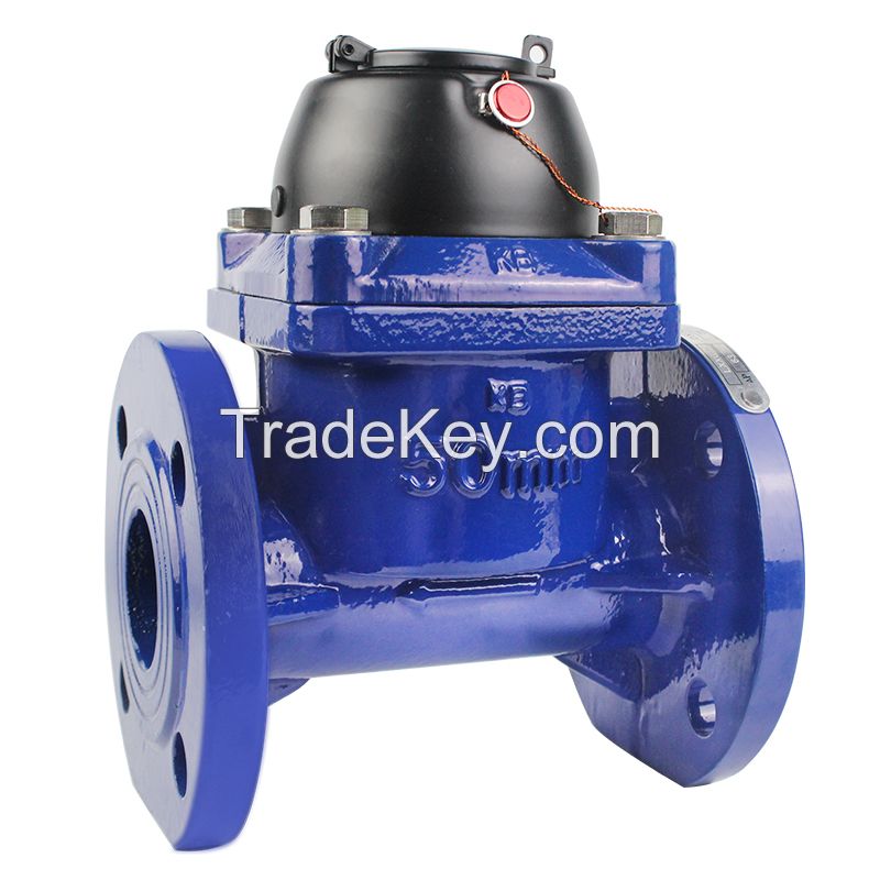 Irrigation water meter