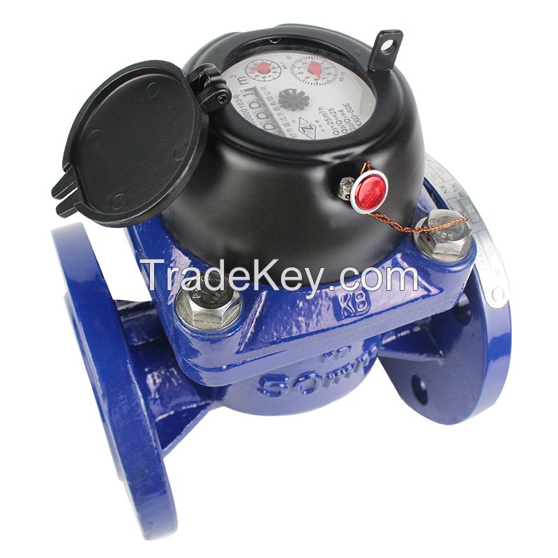 Irrigation water meter