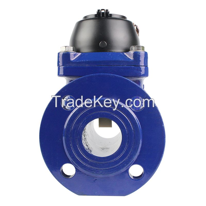 Irrigation water meter