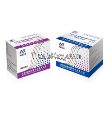 Hepatitis C Virus Nucleic Acid Determination Kit (PCR- Fluorescent Probe Method)