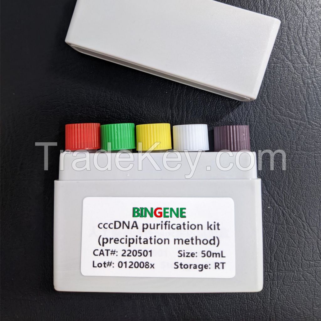 cccDNA purification kit (precipitation method)