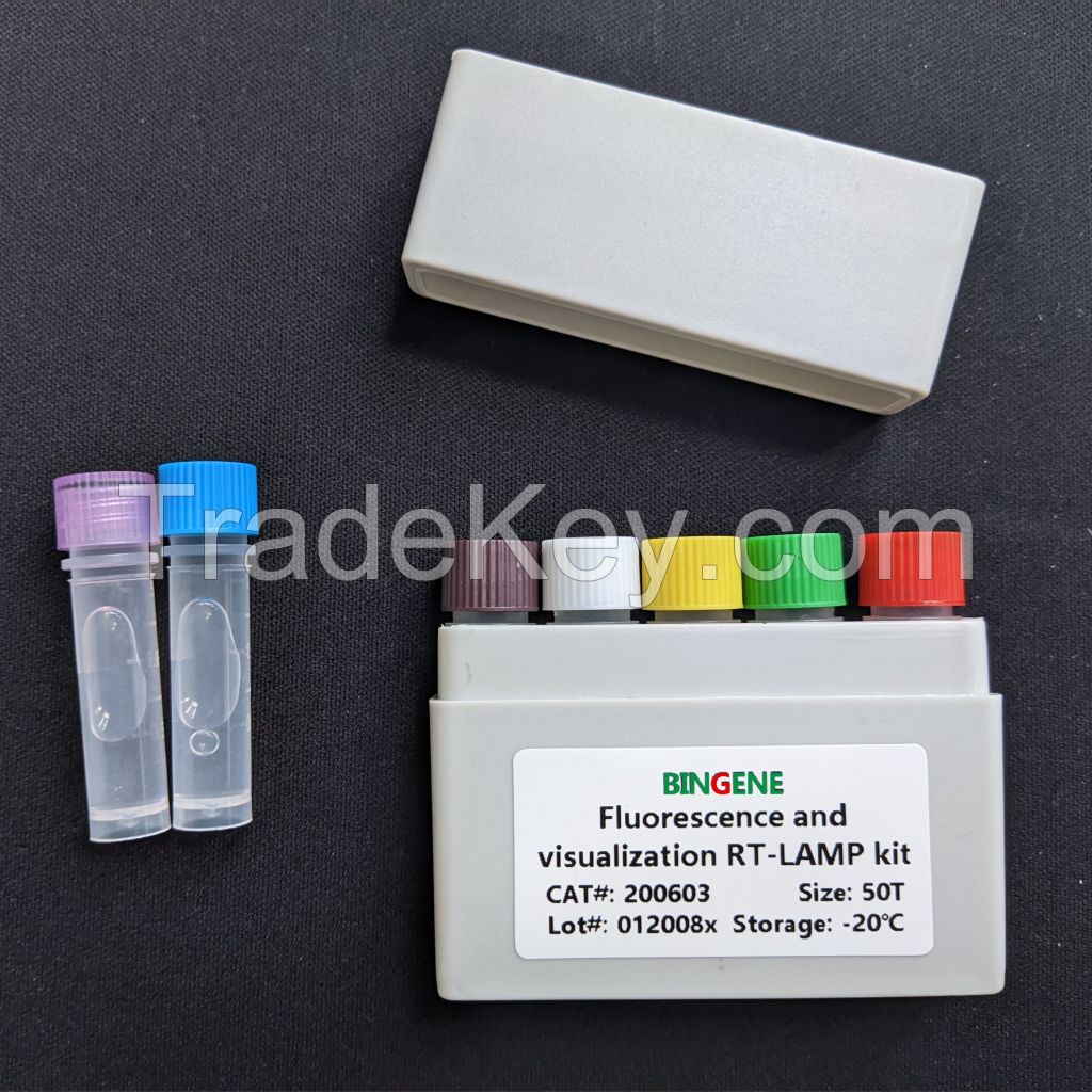 Fluorescence and visualization RT-LAMP kit