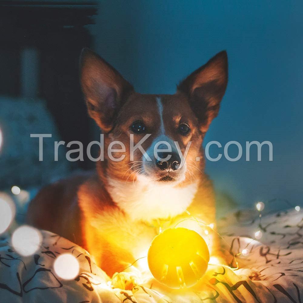 Dog Chew Toys With LED Light for Puppy