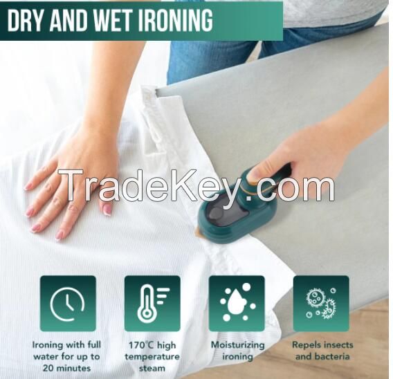 Professional Handheld Garment Ironing Machine Hot Steam Household Wet And Dry Double Small Electric Iron Travel Ironing Machine