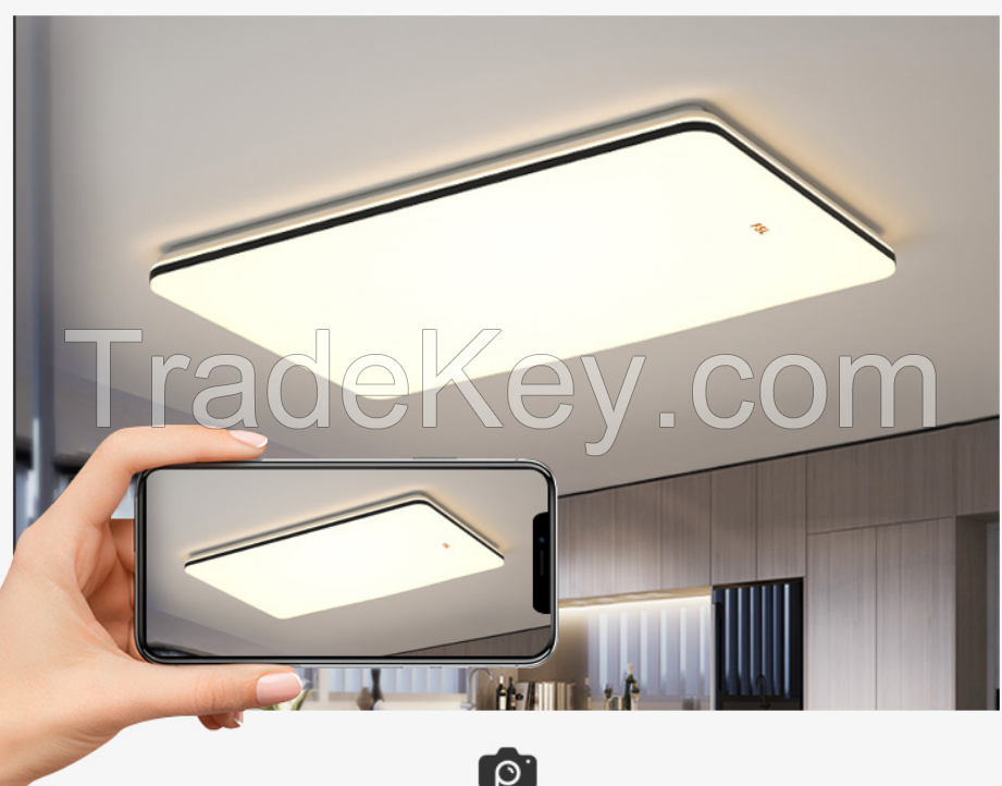 FSL ceiling lamp living room lamp