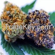 Vallejo Sour Diesel -------19.5%  CBD 0.10%