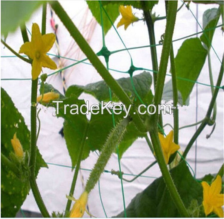 Plastic Polypropylene Trellis Netting For Vegetables