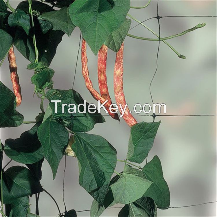 Plant Support Trellis Tomato Climbing Net