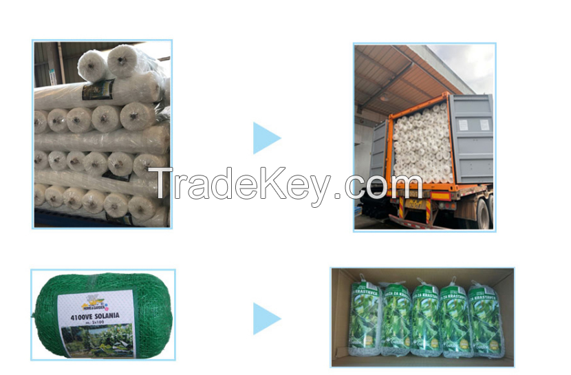 Plastic Polypropylene Trellis Netting For Vegetables