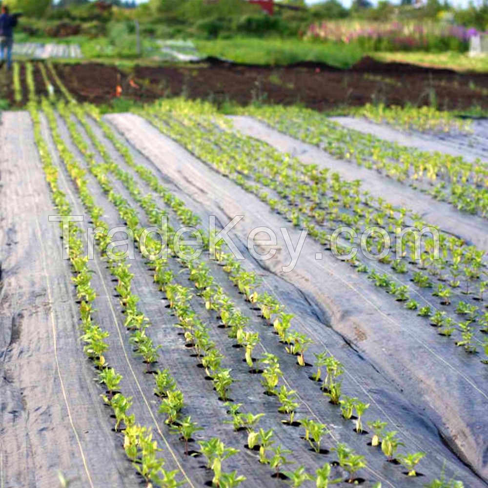 Weed Control Fabric Garden Mat Landscape