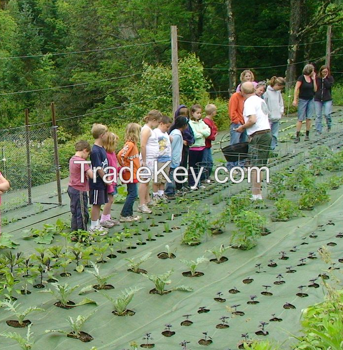 Weed Control Fabric Garden Mat Landscape