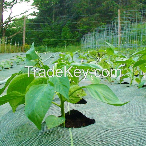 Hot Sale Weed Mat Pp Pe Woven Plastic Weed Control