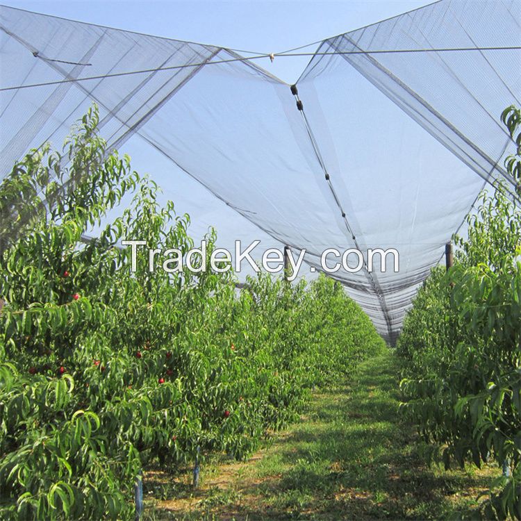 Hdpe anti hail net Orchard screenhouse