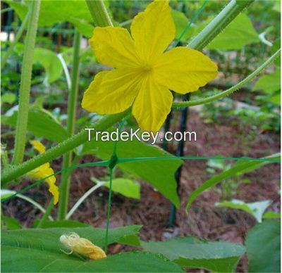 Plant Trellis Mesh Netting For Greenhouse