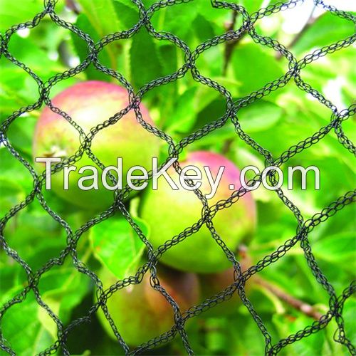 Bird Control Netting for Fruit Trees