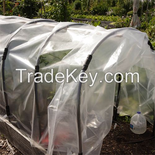 Greenhouse Transparent Film