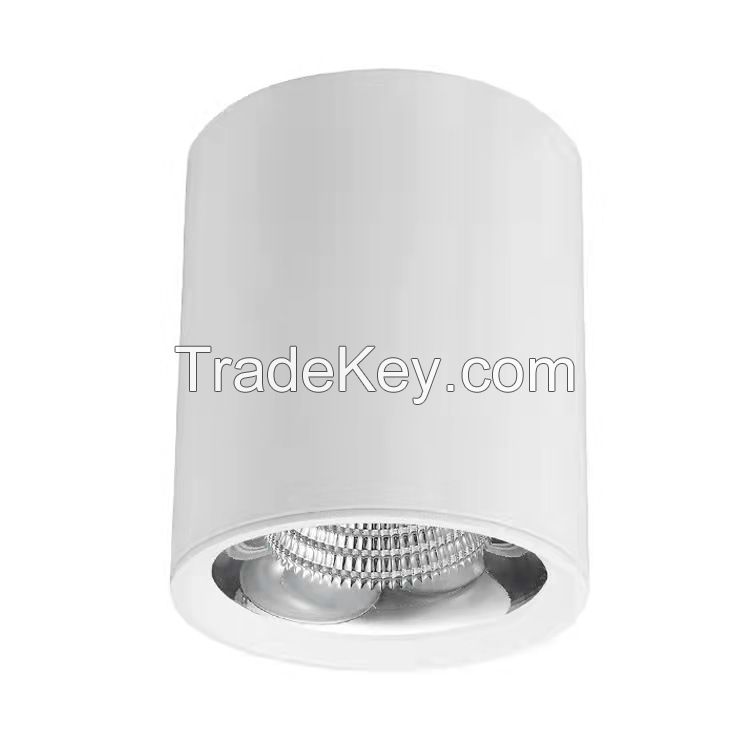 Surface mounted LED downlight