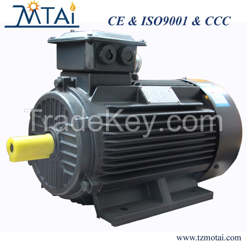 Y2/IE1/IE2/IE3/IE4 Large Power Low Voltage Cast Iron Asynchronous Motor