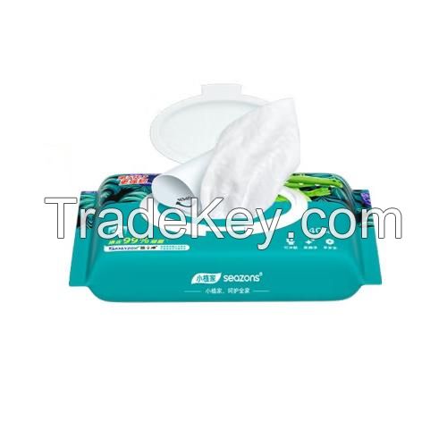 OEM Disposable Toilets Wet Paper Flushable Wipes