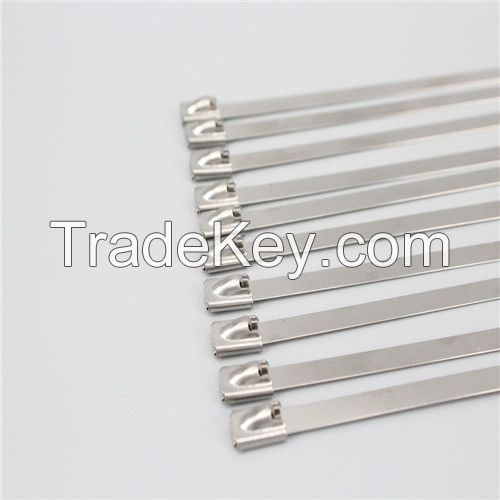 Stainless Steel Cable Ties