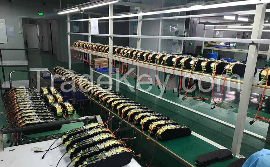 EAZO Ebike  Battery