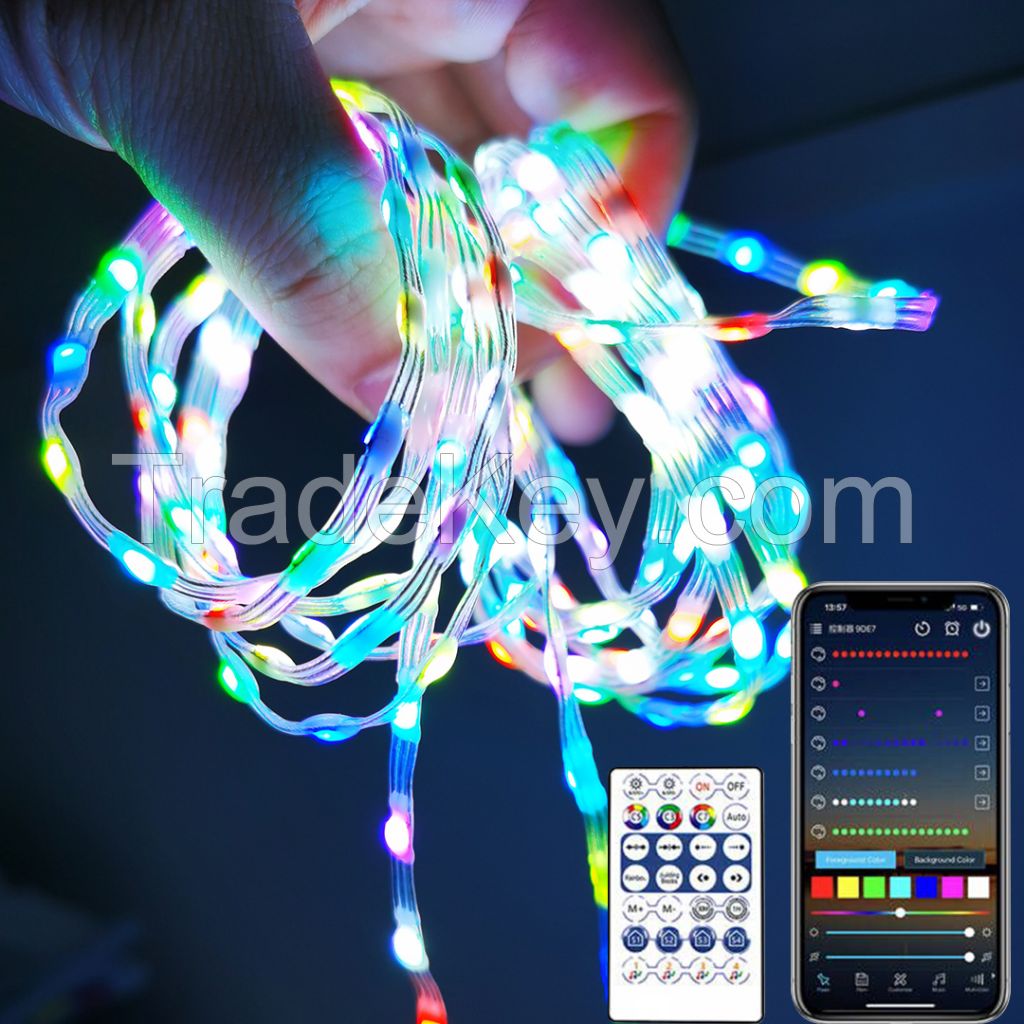 LED Christmas Outdoor Garden Decorative Outfit String Lights Smart Fairy Lights Copper Fairy String Lights