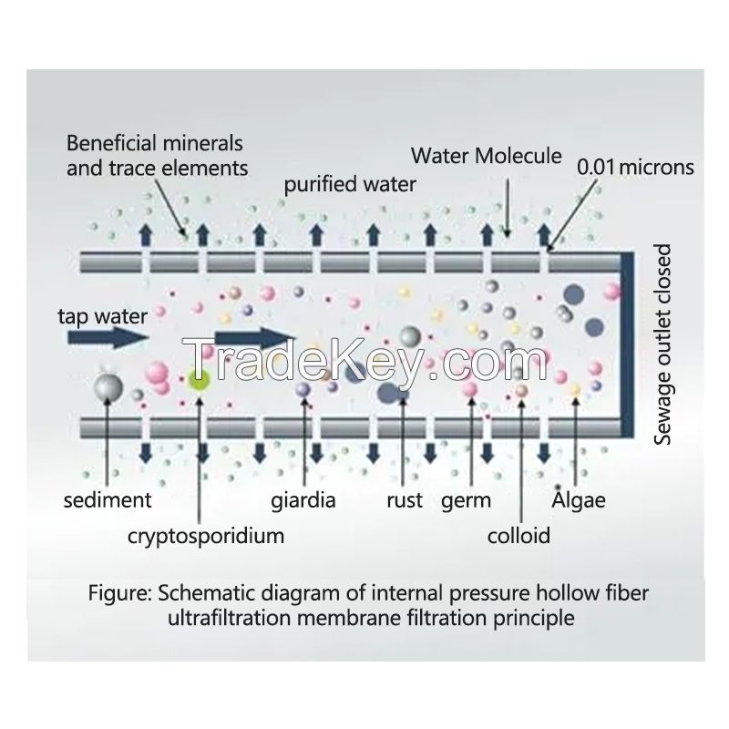 External Ultrafiltration Membrane Wastewater Treatment Heat-resistant Antipollution