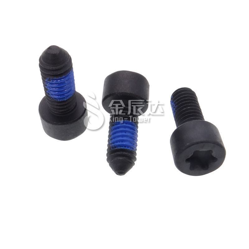 CSK Torx Plus Thread Locking Screw