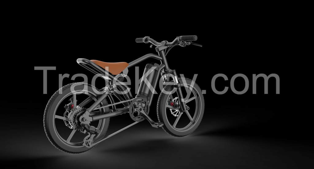 Electric motorcycle