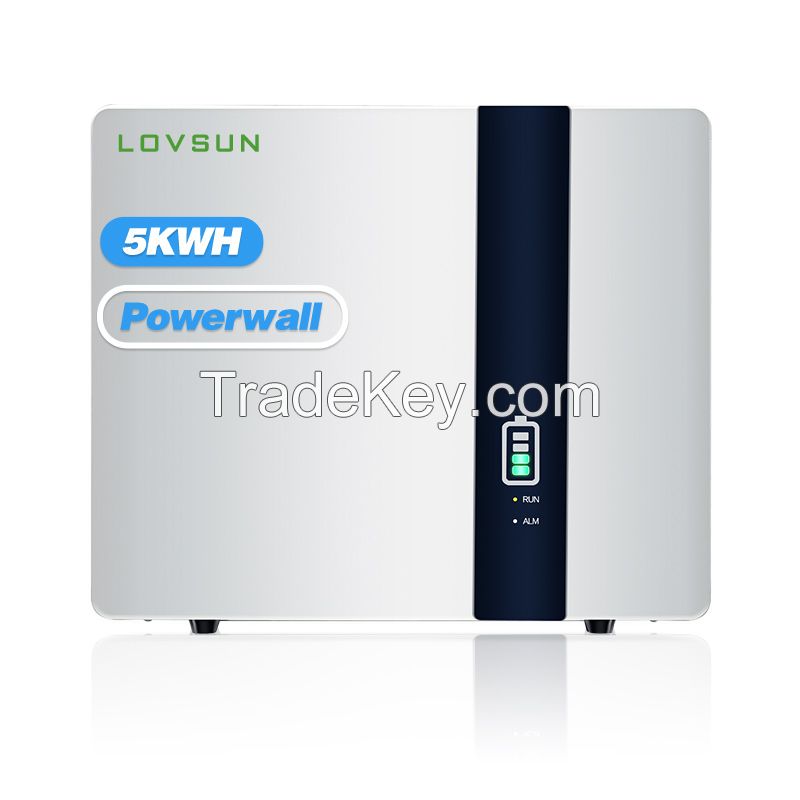 Cheap Price Powerwall 5kwh Lithium Ion Battery 51.2V Power Energy Wall Lifepo4 Battery 100Ah Energy Storage Battery