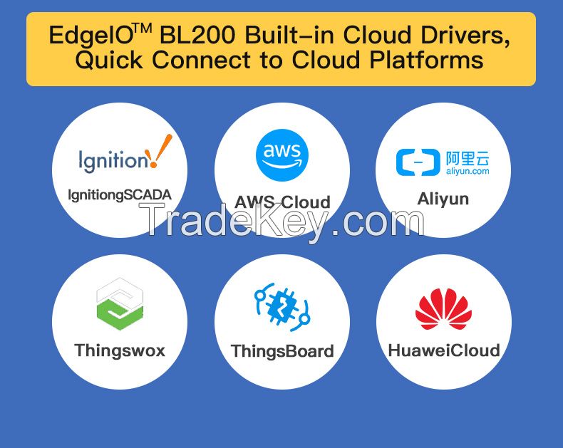 BL200Pro the integrated Modbus IO Modules