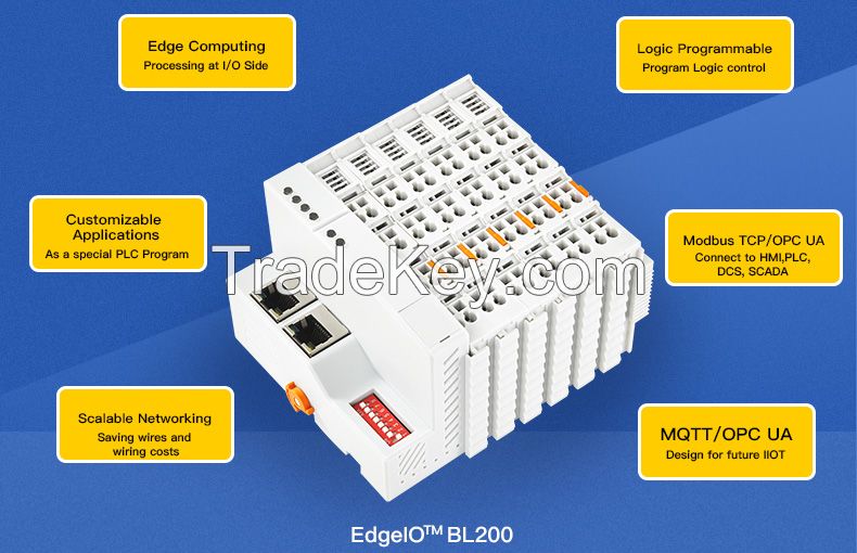 BL200Pro the integrated Modbus IO Modules