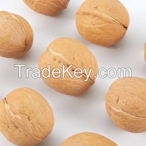 Most Popular Organic Walnuts With Shell Chinese North High Quality Wal